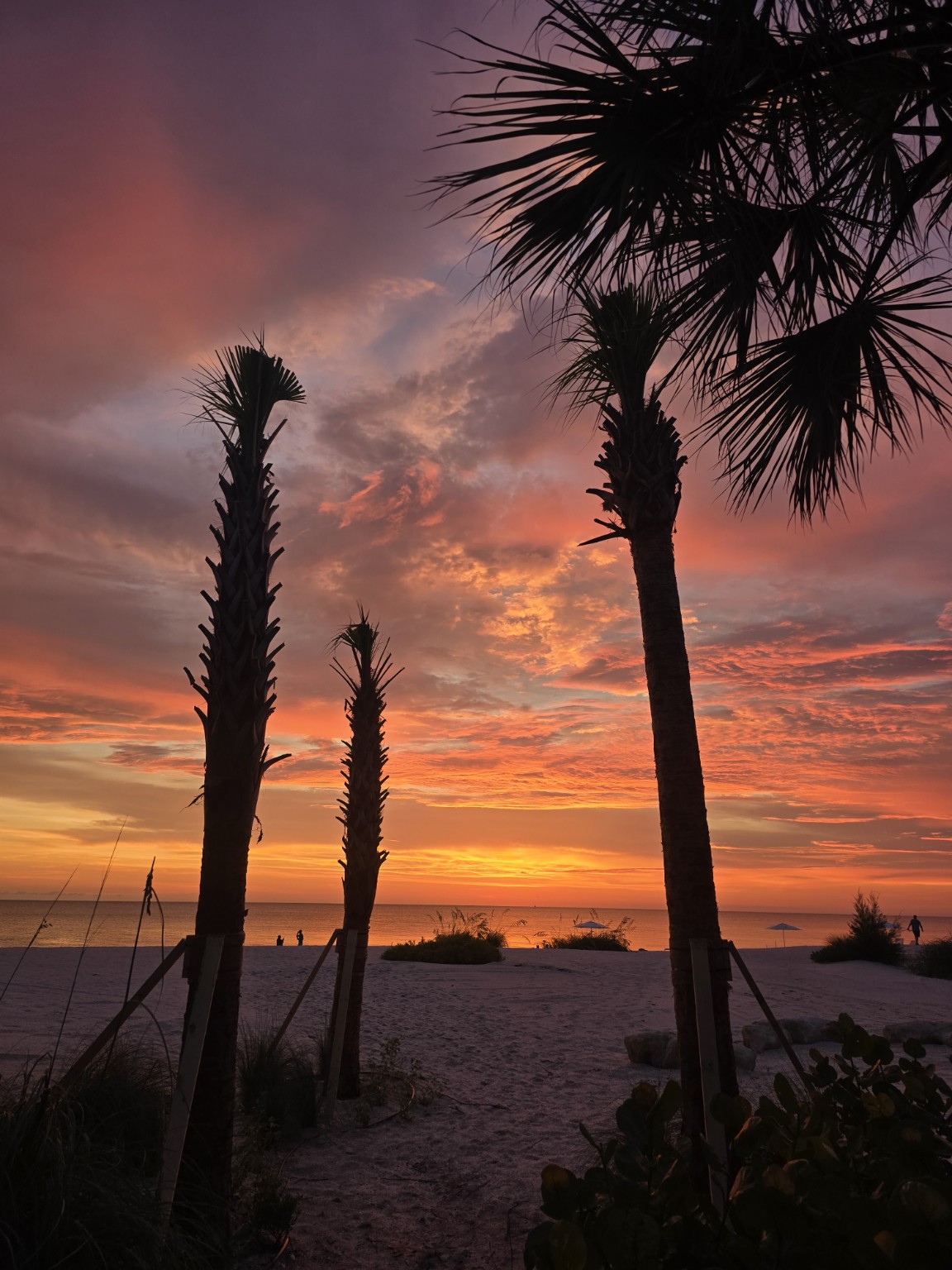 Florida Gulf Coast sunset